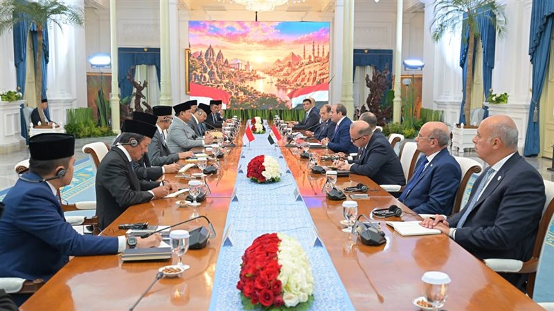 الرئيس السيسي