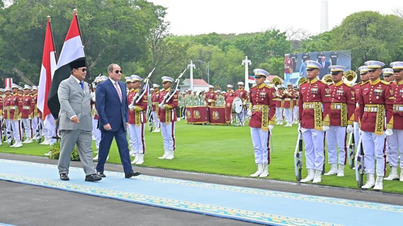 الرئيس السيسي