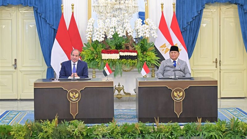 الرئيس السيسي