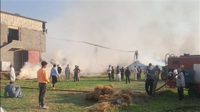 اللحظات الأولى لاندلاع حريق هائل داخل مصنع كتان ميت حبيب في الغربية (فيديو)   