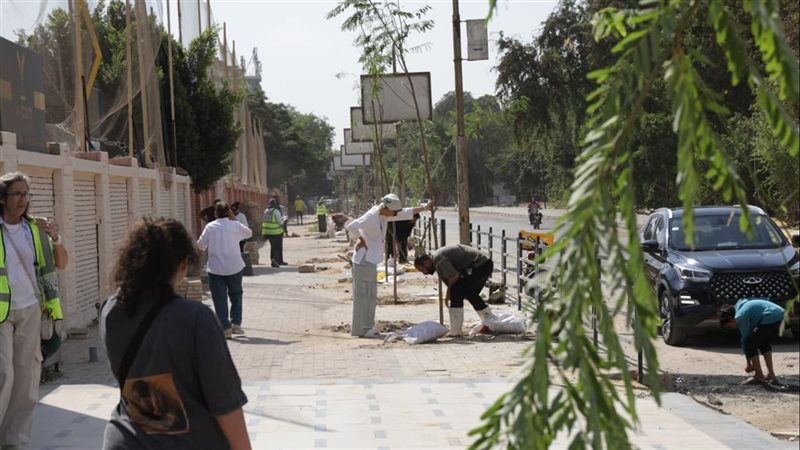زراعة الاشجار 