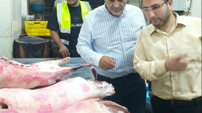 بيطري القليوبية،