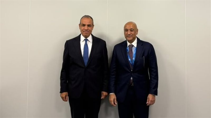 وزير الخارجية وأمين