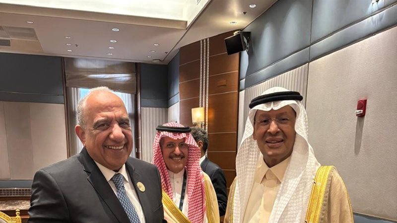 لقاء وزير الكهرباء