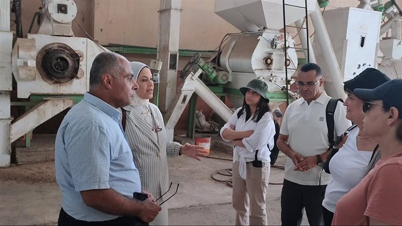 جامعة عين شمس 