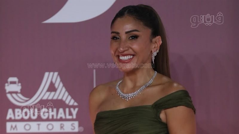دينا الشربيني، فيتو