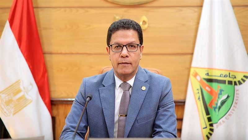 د. ناصر الجيزاوي