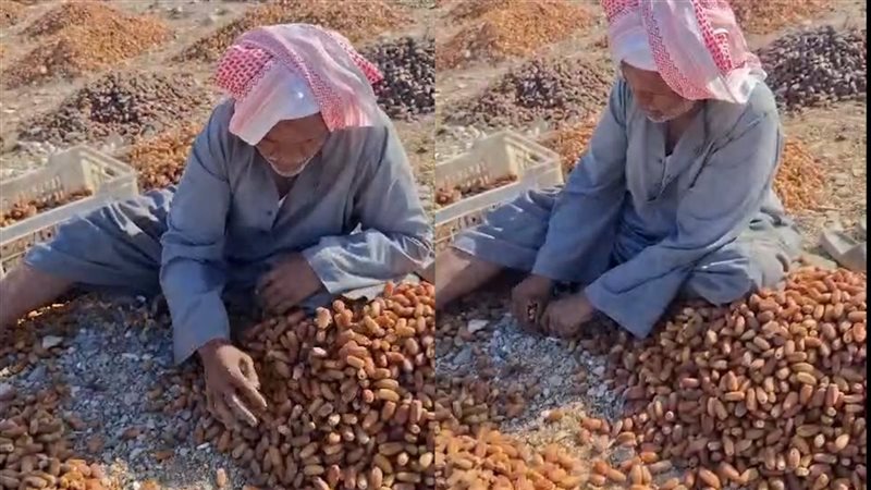 حكاية عم أحمد النجعاوي