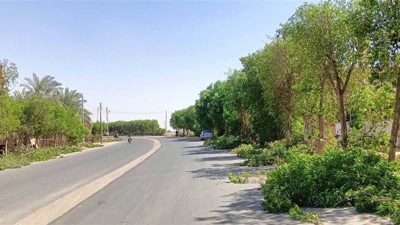 حملات النظافة بالداخلة،