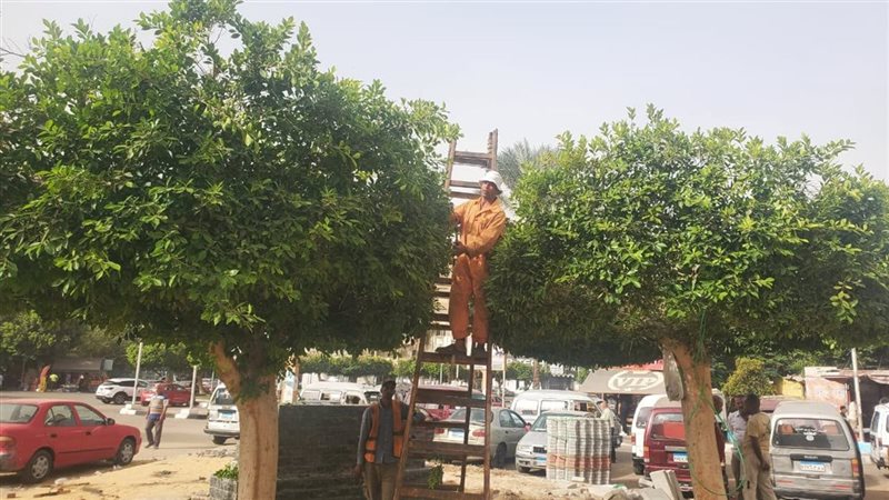 جانب من الأعمال،