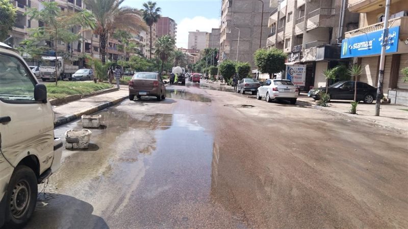 الاسكندريه 