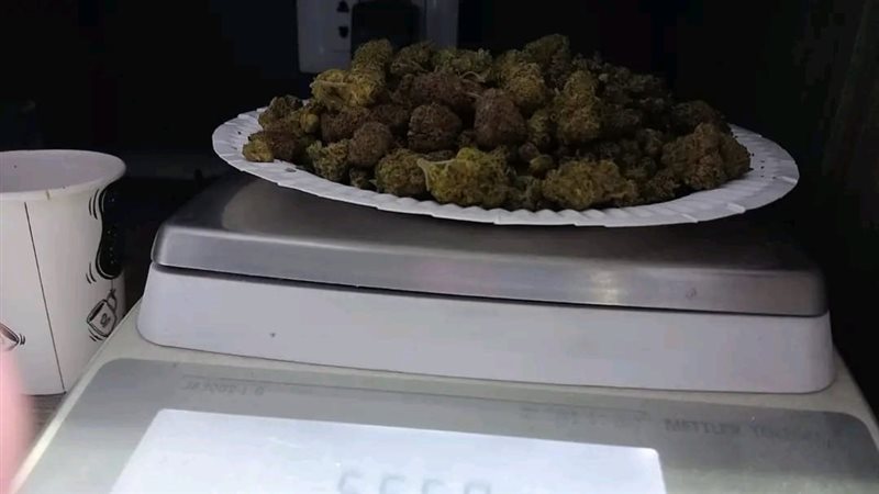 مخدر الماريجوانا،