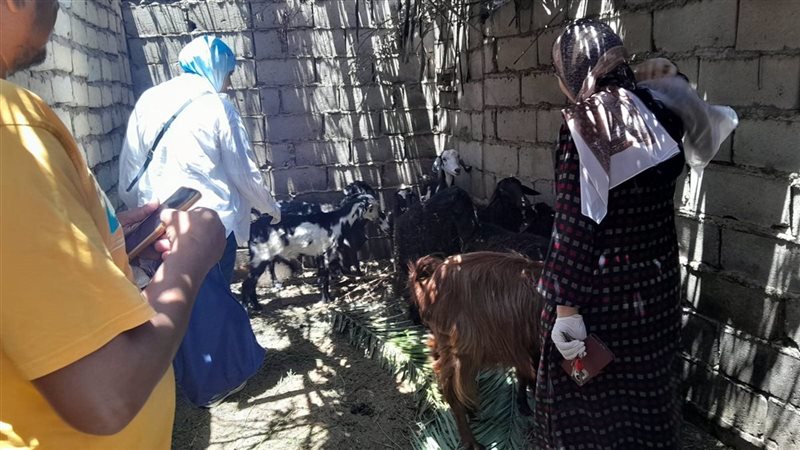 وزارة التضامن الاجتماعي