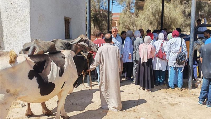 الزراعة تنفذ 262