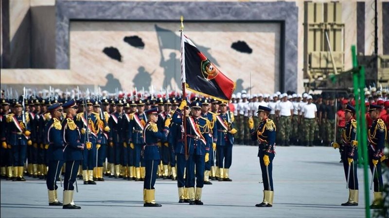 مشاركة مصر في الدفاع