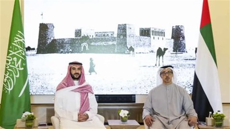 نائب الرئيس الإماراتي