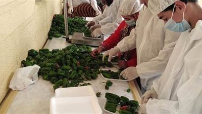 نجل عم حلمي طولان يطلق مبادرة توفير الخضروات بسعر الجملة بالمنوفية