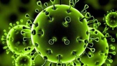 رئيس مدينة الشيخ زايد: اجراءات احترازية مشددة لمواجهة كورونا