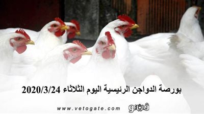 بورصة الدواجن الرئيسية اليوم الثلاثاء 2020/3/24
