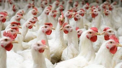 7 إجراءات عاجلة من 