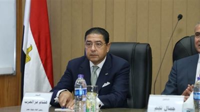 هشام عز العرب : قرارات الحكومة والبنك المركزي الهدف منها الحفاظ على معدل النمو الاقتصادي