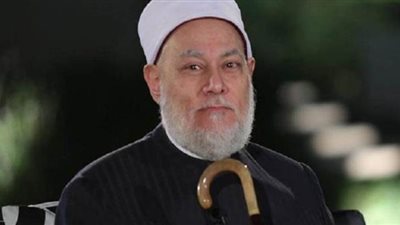 على جمعة: حشد الموارد للحفاظ على البيئة واجب دينى