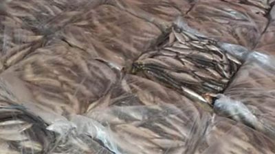 تحرير 58 محضرا للمخابز وبالأسواق بـ6 مراكز في البحيرة