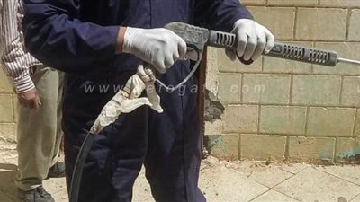 فرق لشركة مياه الشرب بقنا للتطهير والتعقيم | صور