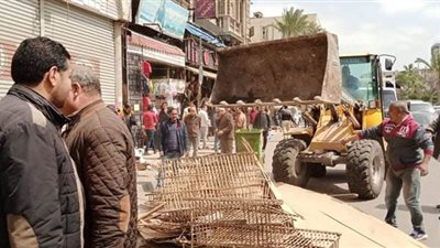 حملة مكبرة فى الإسكندرية لرفع إشغالات الباعة الجائلين | صور