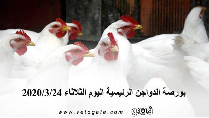 فيتو