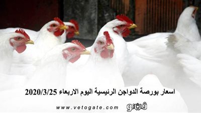 اسعار بورصة الدواجن الرئيسية اليوم الاربعاء 2020/3/25