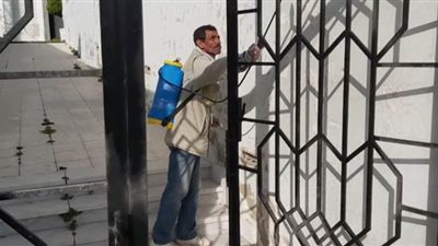 رش وتعقيم منطقة آثار كوم الناضورة الأثرية في الإسكندرية | صور