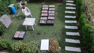 جارة الصينيين المضبوطين أثناء شواء ثعابين: 