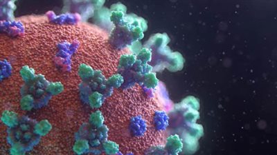 أستاذ طب وقائي: أرقام إصابات كورونا في مصر مطمئنة| فيديو