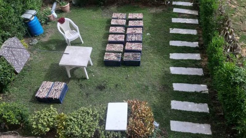 فيتو