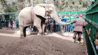 إغلاق أقدم حديقة حيوان في العالم بسبب كورونا