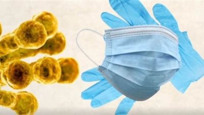 الطريقة الصحيحة للتخلص من الكمامة والجوانتى عقب الاستخدام | فيديو