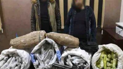 مصادرة أسلحة نارية ومواد مخدرة فى حملة أمنية بقرية كوم النور بالدقهلية