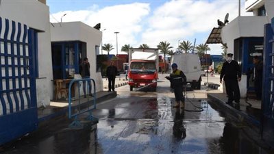 ميناء الإسكندرية: العمل مستمر ٢٤ ساعة