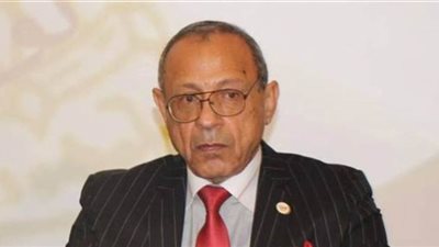 رئيس الحركة الوطنية: التزام المصريين بحظر التجوال ضربة قاصمة للإخوان