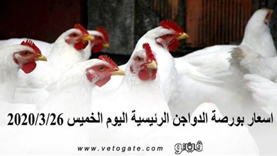 اسعار بورصة الدواجن الرئيسية اليوم الخميس 2020/3/26