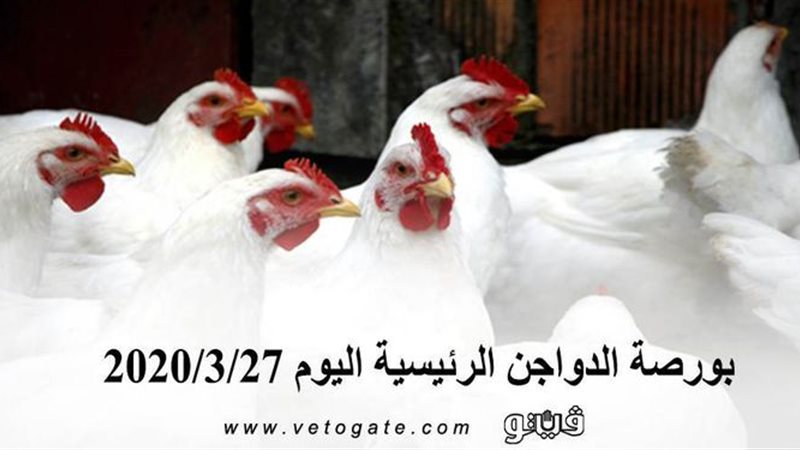 فيتو