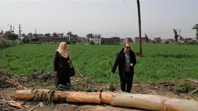 ضبط شخص تسببت فى قطع أسلاك الكهرباء بالدقهلية| صور