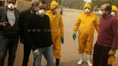 فرق تطهير وتعقيم بقرية البراهمة في قنا |صور