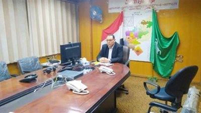 محافظ الشرقية عبر الفيديو كونفرانس لـ