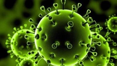 مشروب طبيعى يقوي مناعتك ضد كورونا