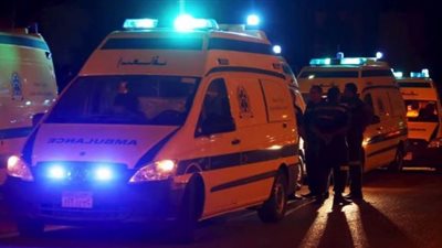 بالأسماء.. إصابة 15 بينهم 8 أطفال في حادث بصحراوي ملوي