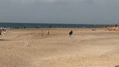 أحياء الإسكندرية تشن حملاتها للتأكد من غلق الشواطئ