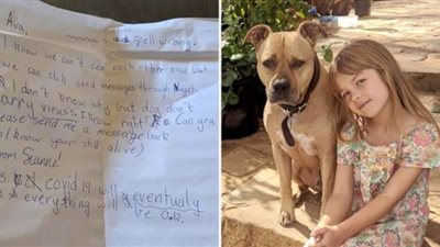 كلب يعمل ساعي بريد للأطفال الجالسين في المنزل بسبب كورونا