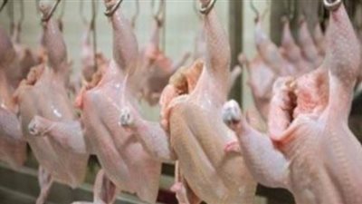 ضبط صاحب مجزر بحوزته 3 أطن دواجن فاسدة في منطقة المرج